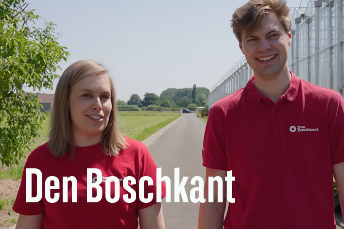 The Boschkant  